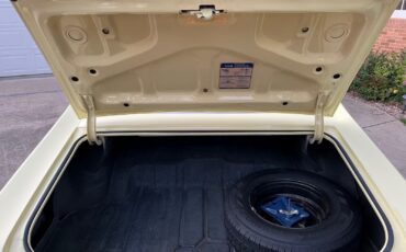 Pontiac-GTO-1969-Coupe-30