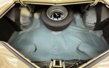 Pontiac-Grand-prix-1975-Carmel-Beige-Saddle-40