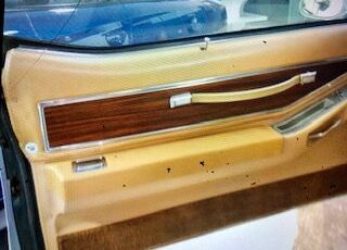 Pontiac-Grand-prix-1977-White-Light-Tan-17