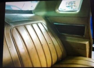 Pontiac-Grand-prix-1977-White-Light-Tan-22