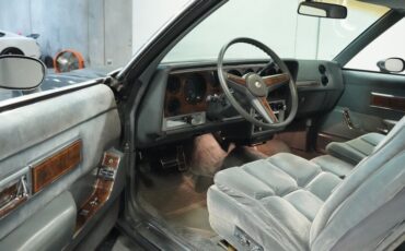 Pontiac-Grand-prix-1985-Medium-Gray-Medium-Dark-Gray-2