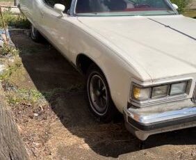 Pontiac-Grandville-1975-6