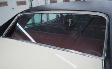 Pontiac-Gto-1967-Cameo-Ivory-Red-21