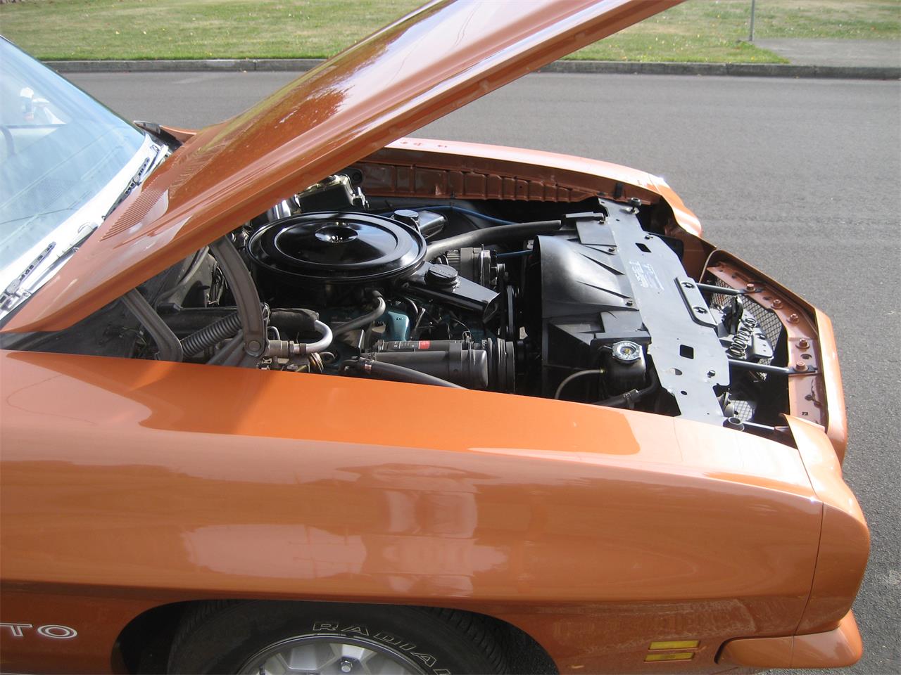 Pontiac-Gto-1971-Canyon-Copper-Pearl-White-31