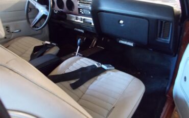 Pontiac-Gto-1971-Canyon-Copper-Pearl-White-62