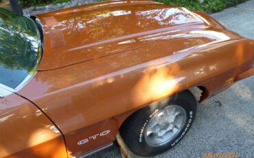 Pontiac-Gto-1971-Canyon-Copper-Pearl-White-68