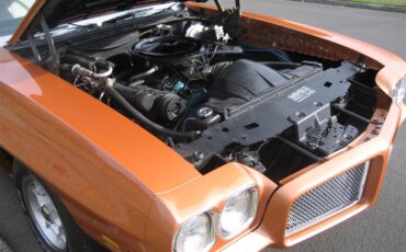 Pontiac-Gto-1971-Canyon-Copper-Pearl-White-74