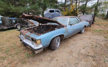Pontiac-Lemans-1977