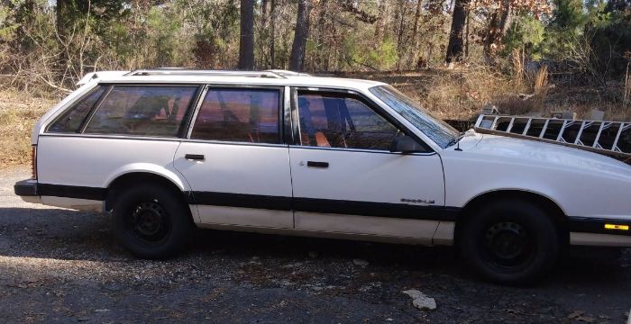 Pontiac-Safari-1991-White-4