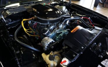 Pontiac-Trans-Am-1977-Classic-Car-30