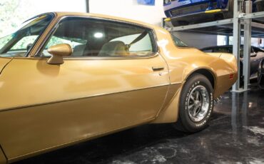 Pontiac-Trans-Am-1979-13