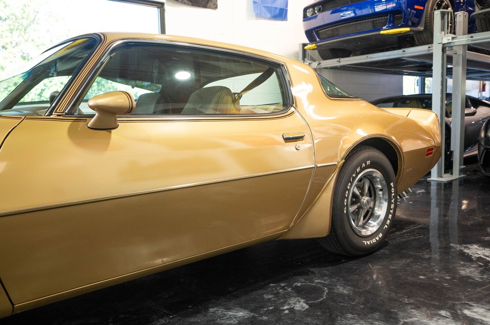 Pontiac-Trans-Am-1979-13