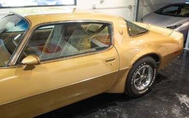 Pontiac-Trans-Am-1979-14
