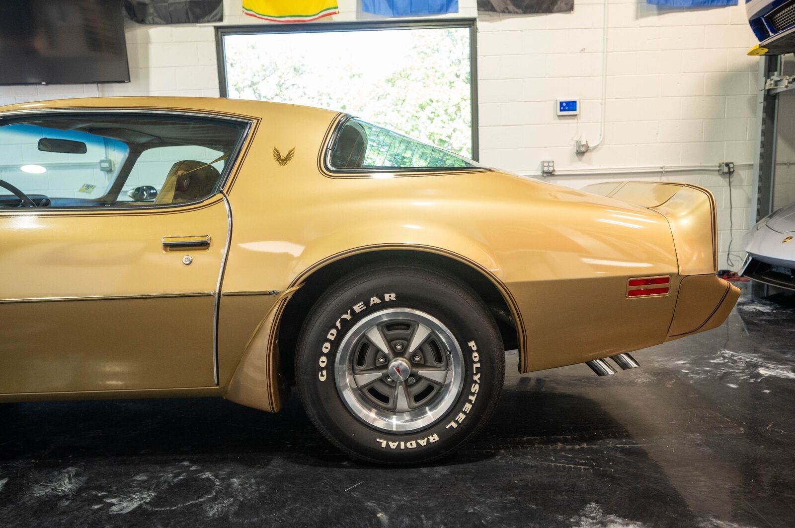 Pontiac-Trans-Am-1979-15