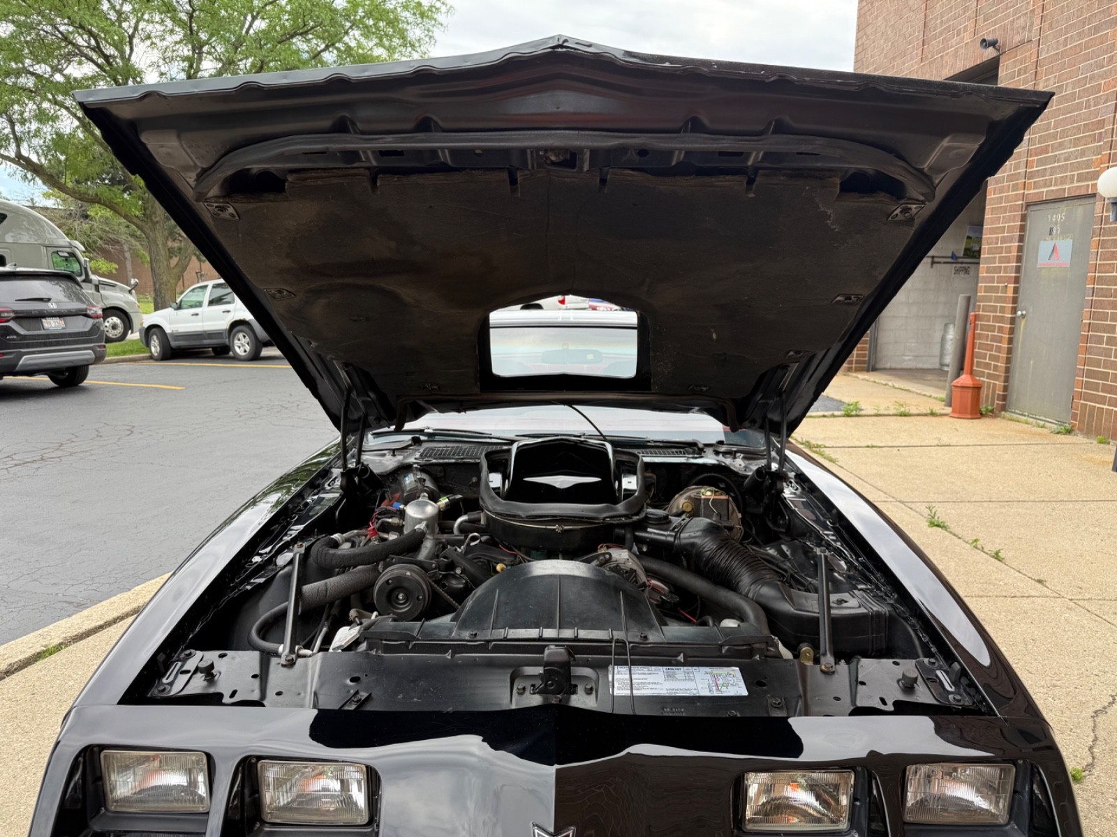 Pontiac-Trans-Am-1979-17