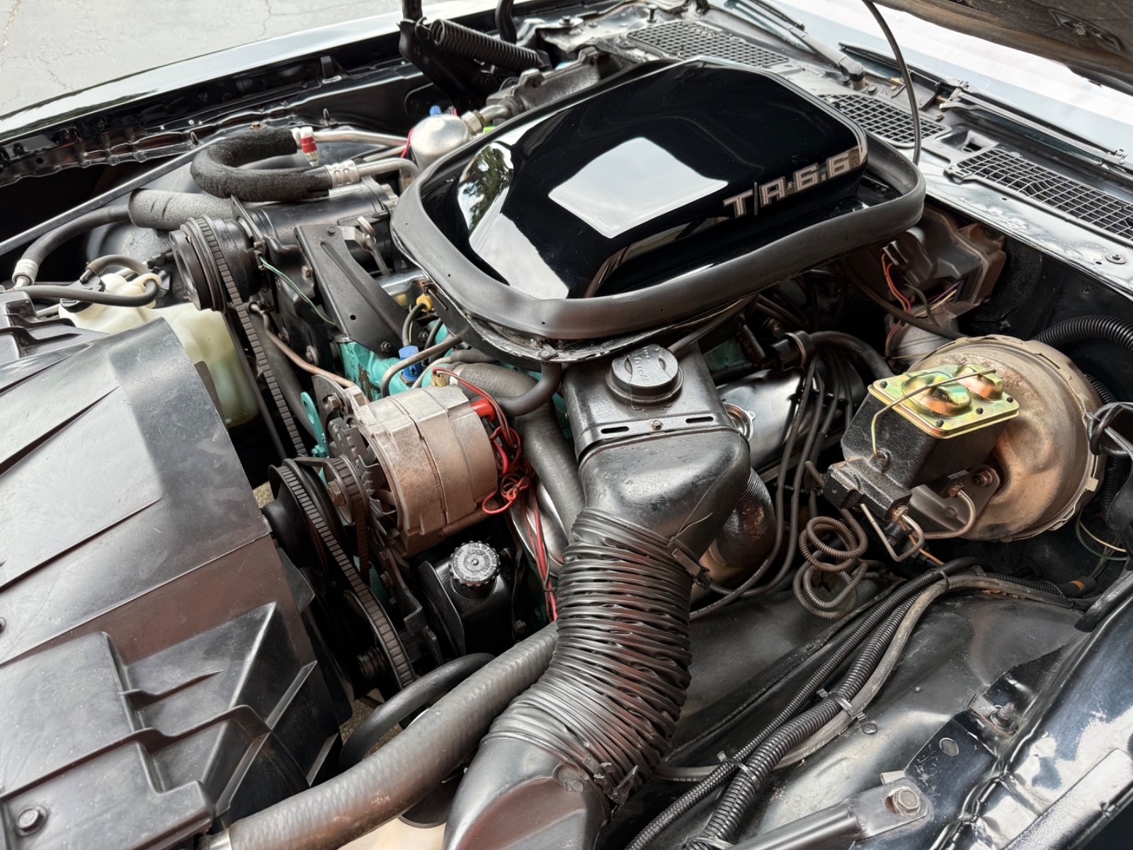 Pontiac-Trans-Am-1979-18