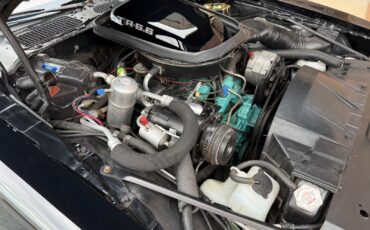 Pontiac-Trans-Am-1979-19