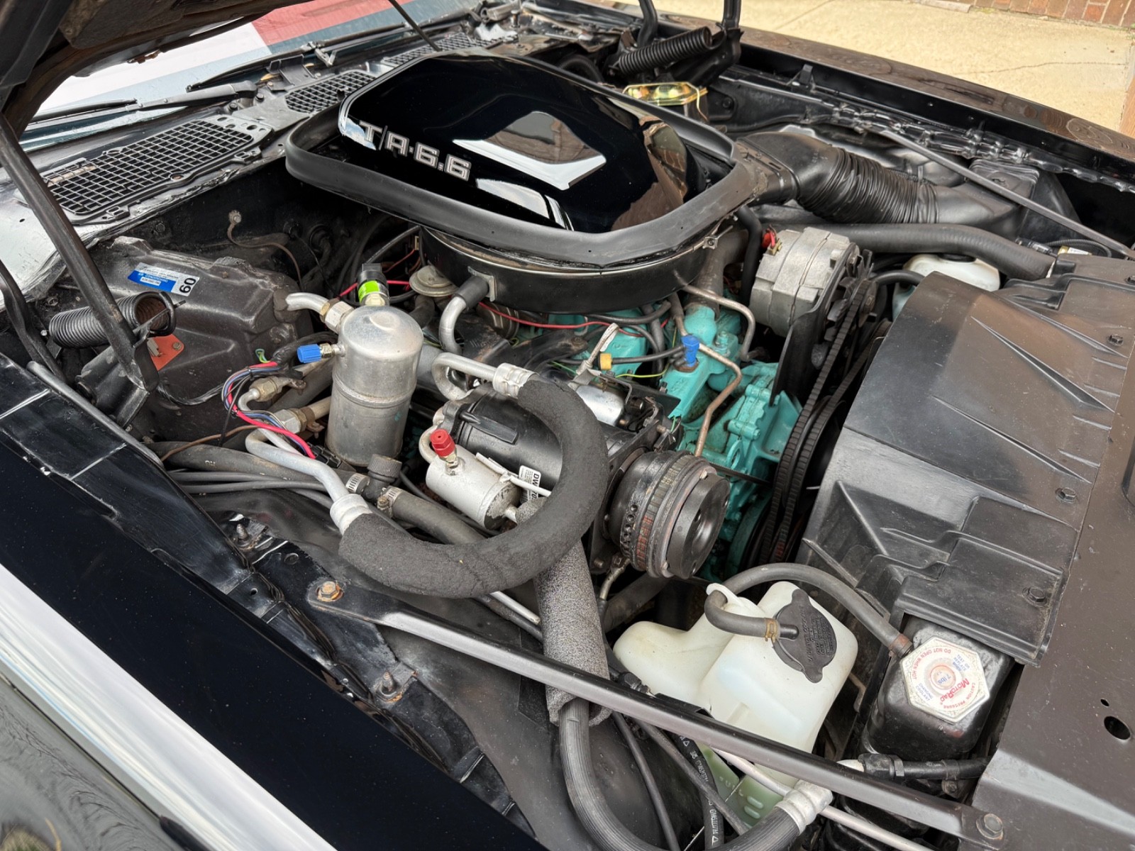 Pontiac-Trans-Am-1979-19