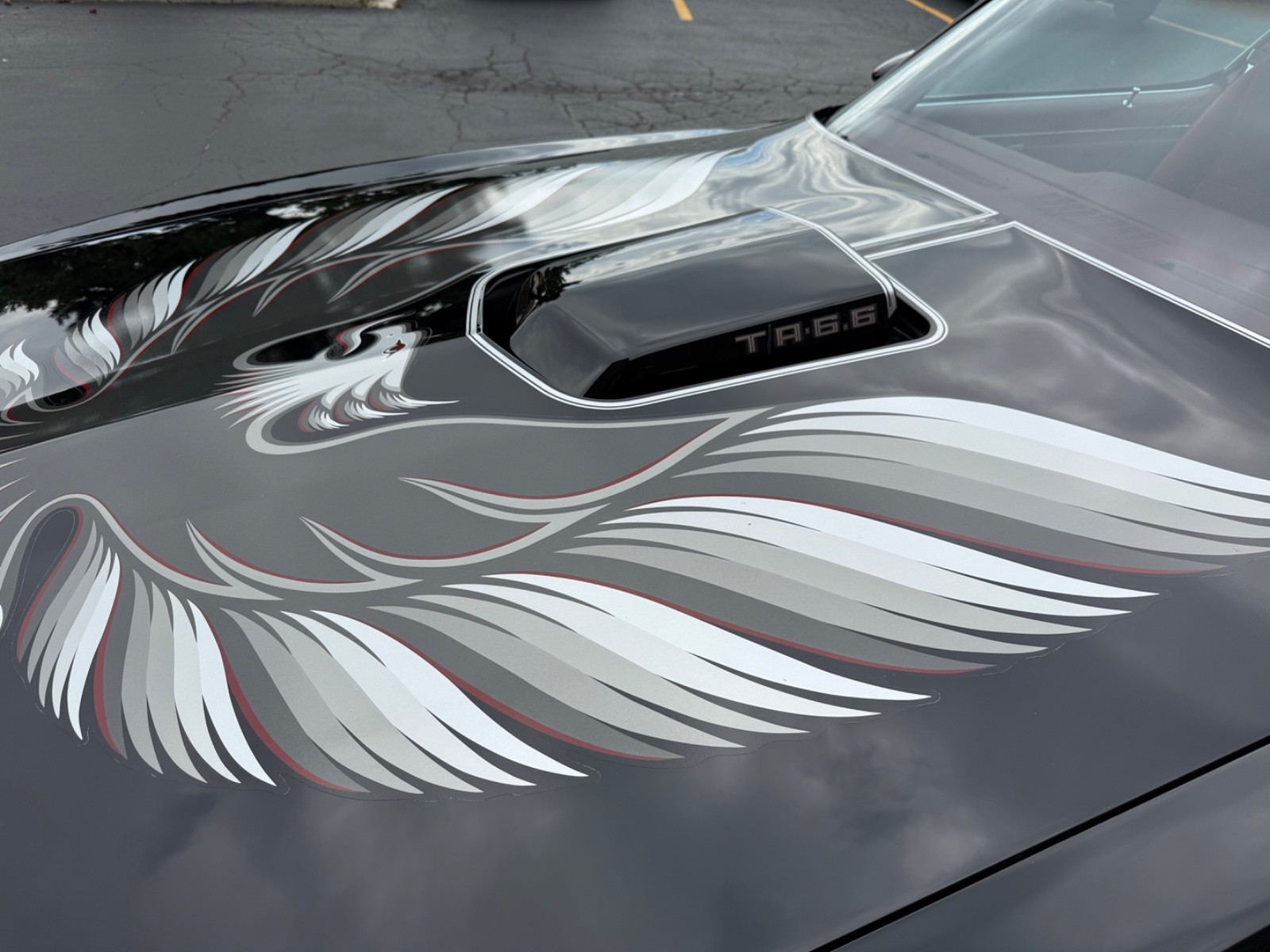Pontiac-Trans-Am-1979-2