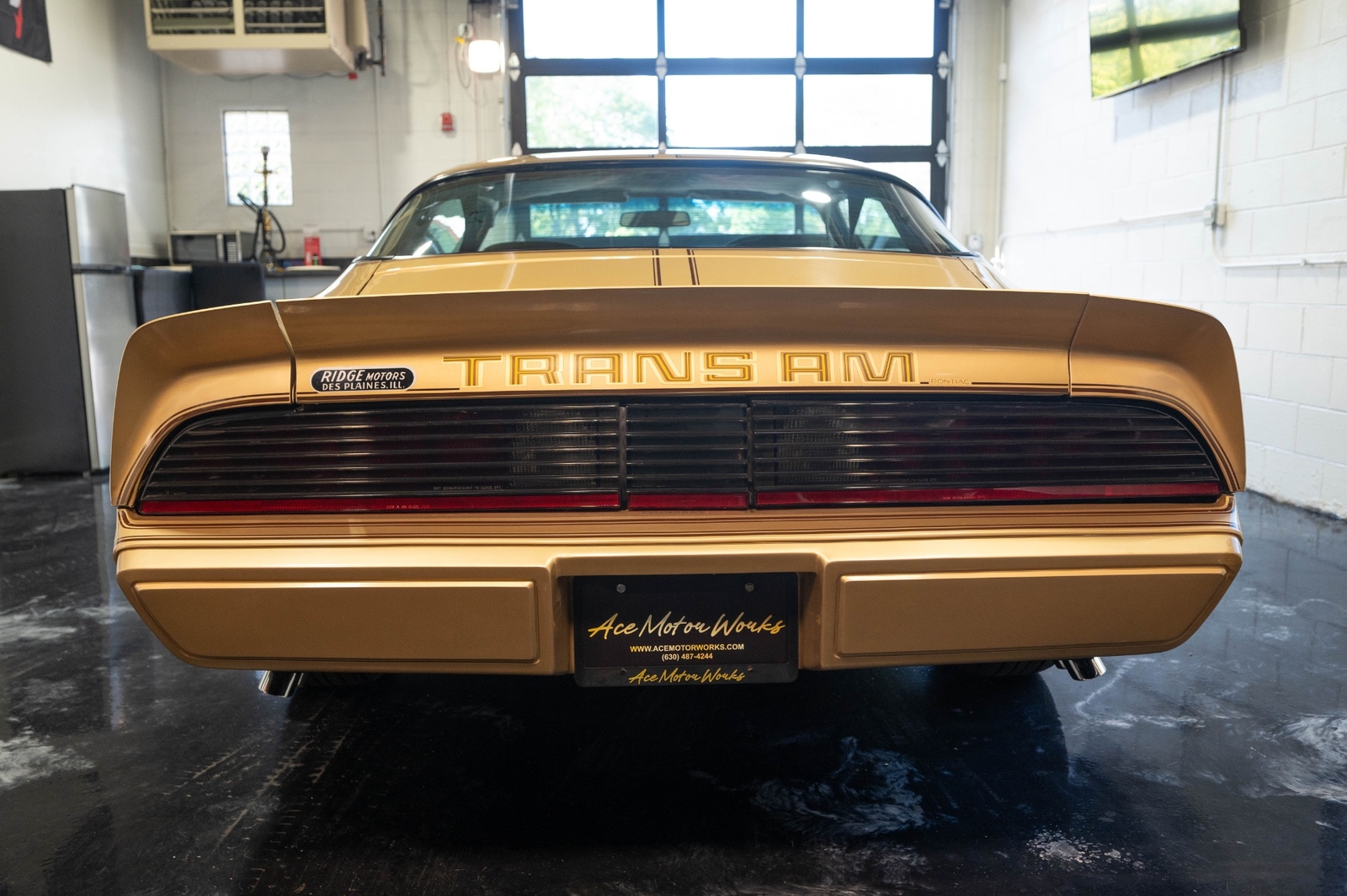 Pontiac-Trans-Am-1979-24