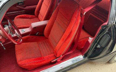 Pontiac-Trans-Am-1979-27