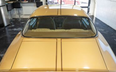 Pontiac-Trans-Am-1979-28
