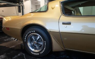 Pontiac-Trans-Am-1979-35