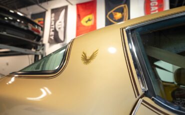 Pontiac-Trans-Am-1979-37