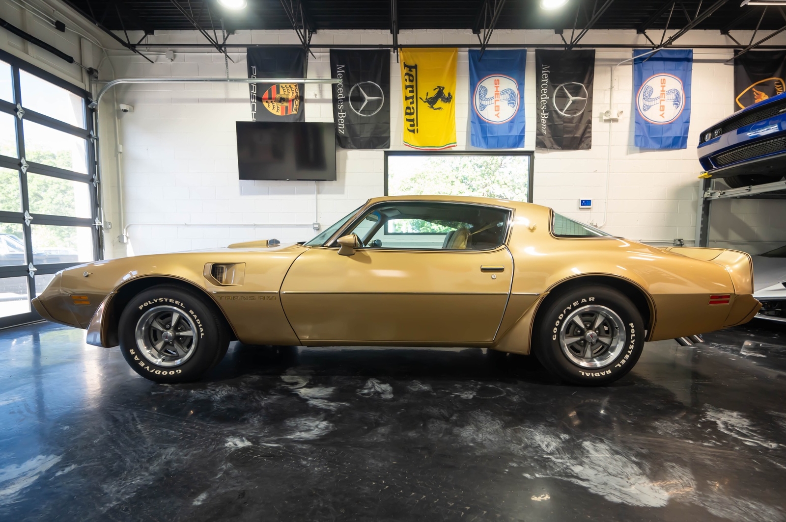 Pontiac-Trans-Am-1979-5
