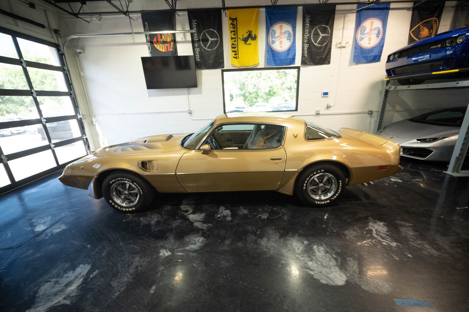 Pontiac-Trans-Am-1979-6