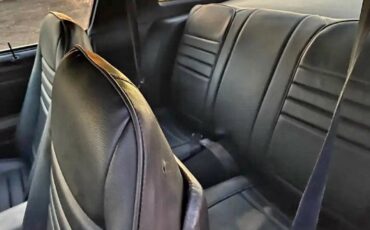 Pontiac-Trans-Am-1979-Coupe-14