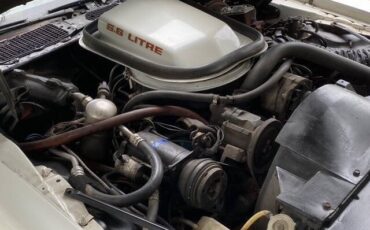 Pontiac-Trans-Am-1979-Coupe-18