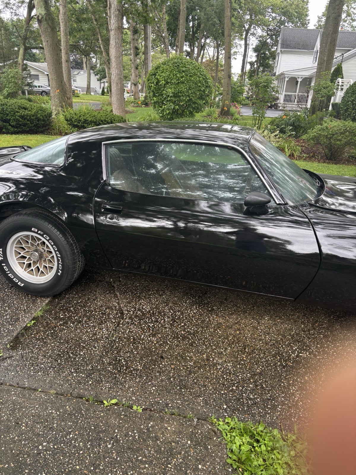 Pontiac-Trans-Am-1979-Coupe-4