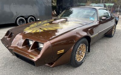 Pontiac Trans Am 1979 Special Tabacco Color