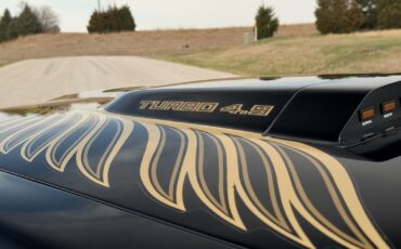 Pontiac-Trans-Am-1981-Coupe-10