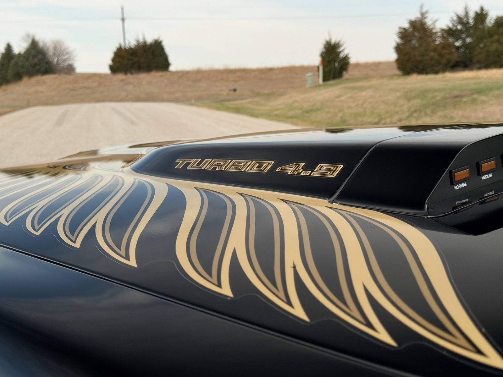 Pontiac-Trans-Am-1981-Coupe-10