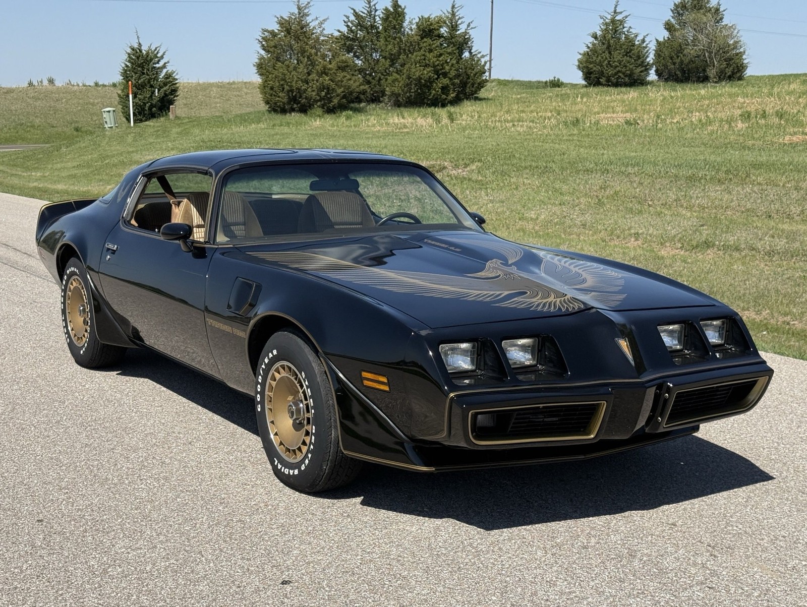 Pontiac-Trans-Am-1981-Coupe-2