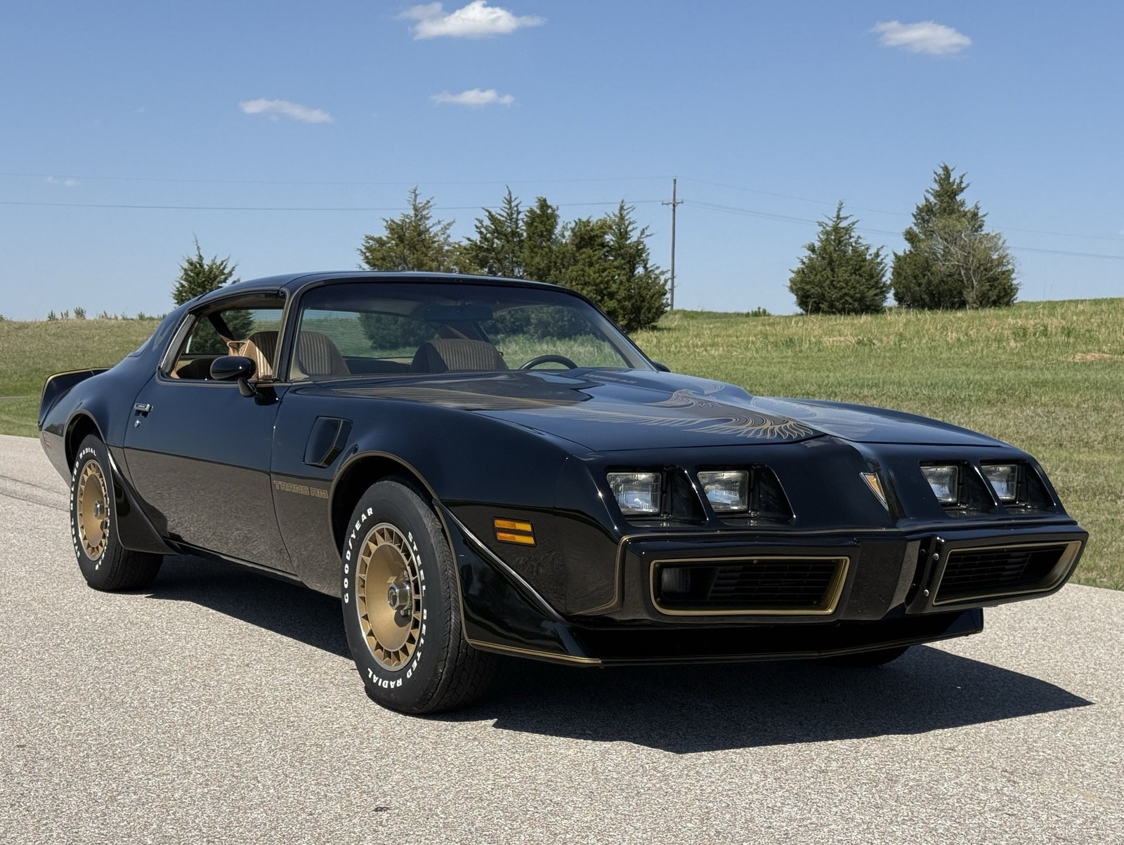 Pontiac-Trans-Am-1981-Coupe-3