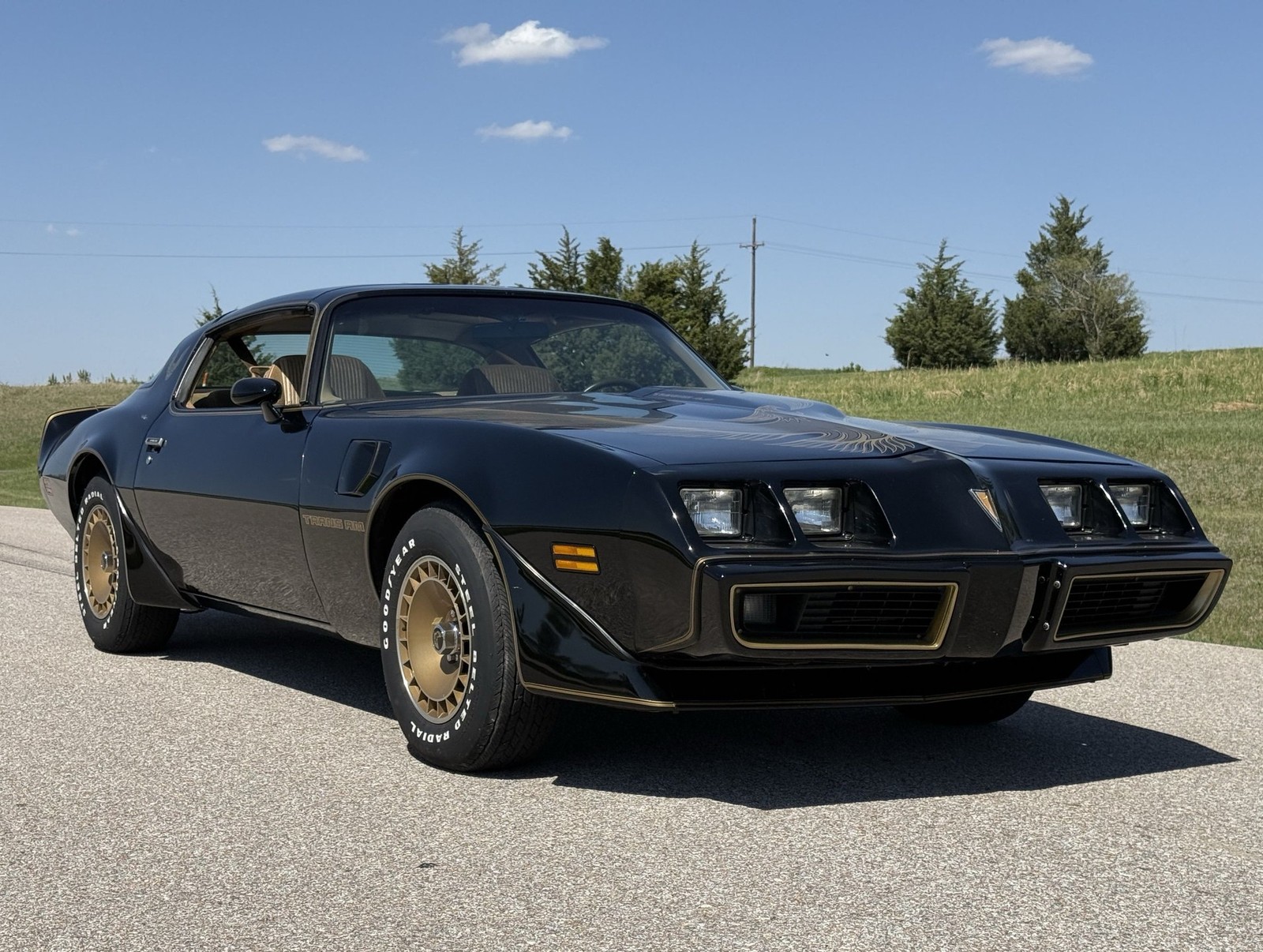 Pontiac-Trans-Am-1981-Coupe-4