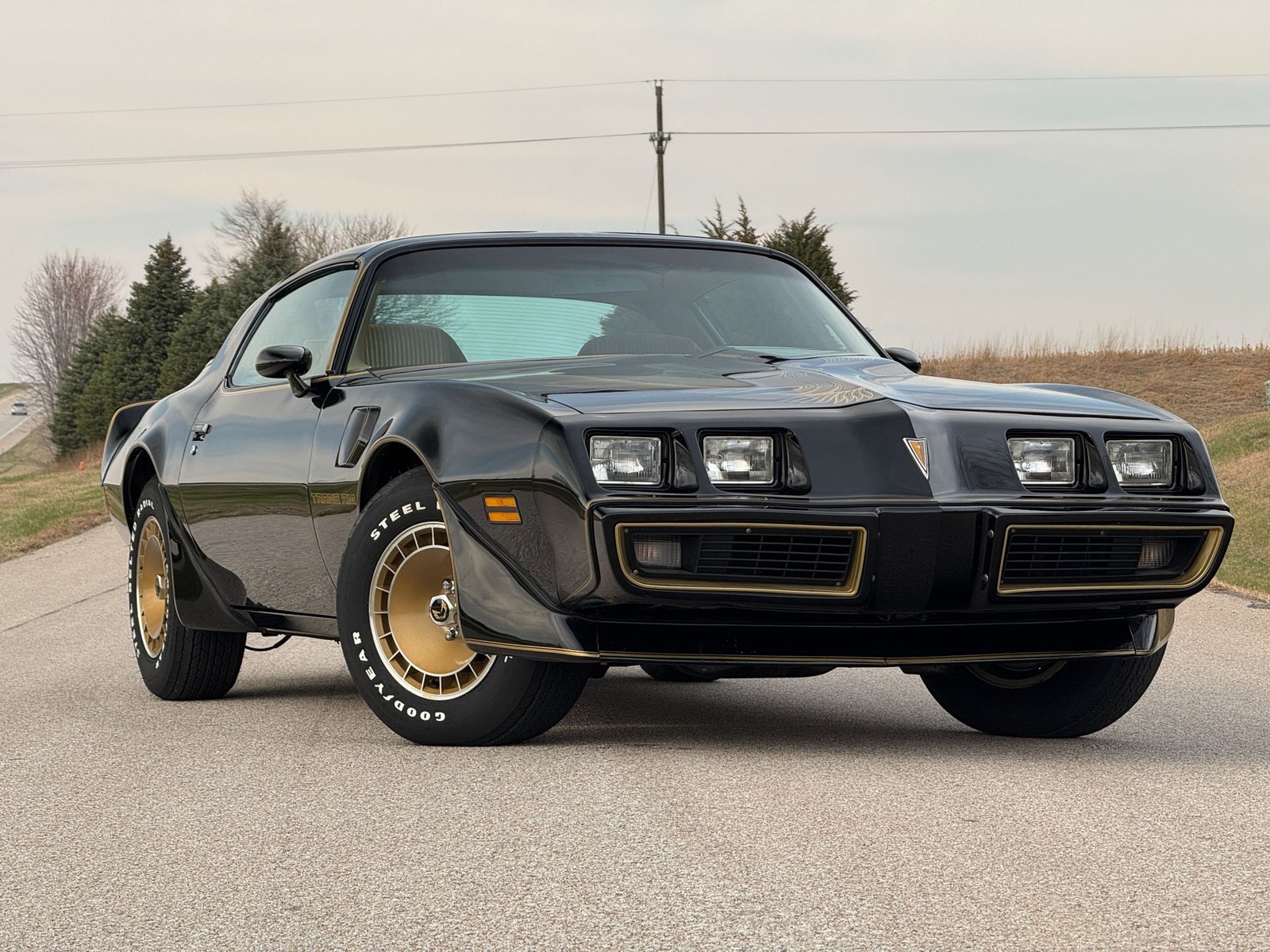 Pontiac-Trans-Am-1981-Coupe-5