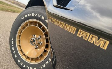 Pontiac-Trans-Am-1981-Coupe-6
