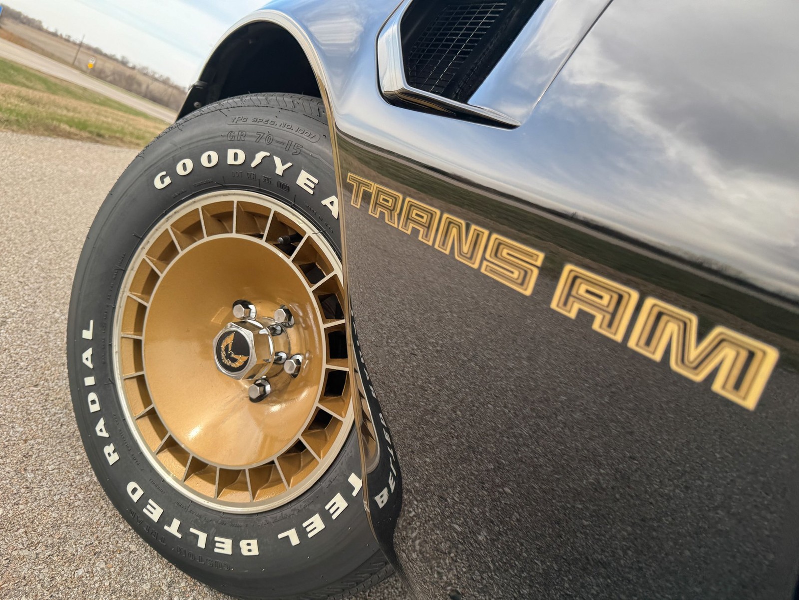 Pontiac-Trans-Am-1981-Coupe-6