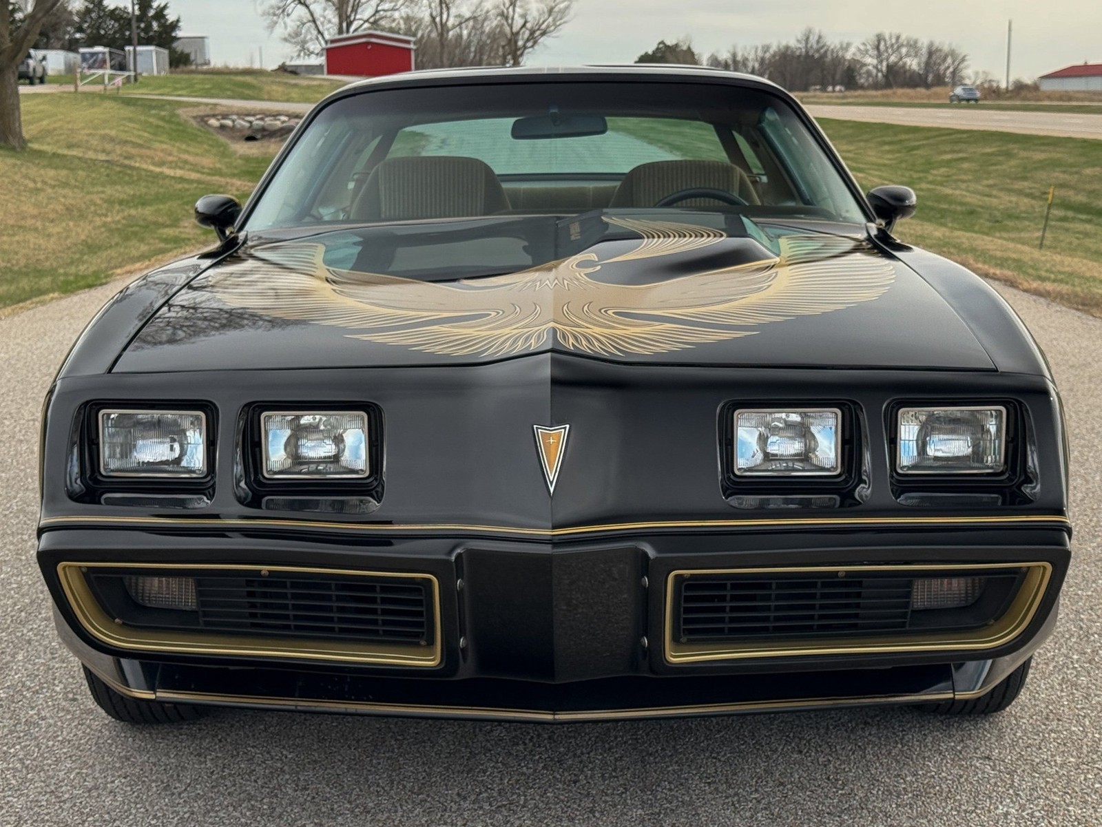 Pontiac-Trans-Am-1981-Coupe-7