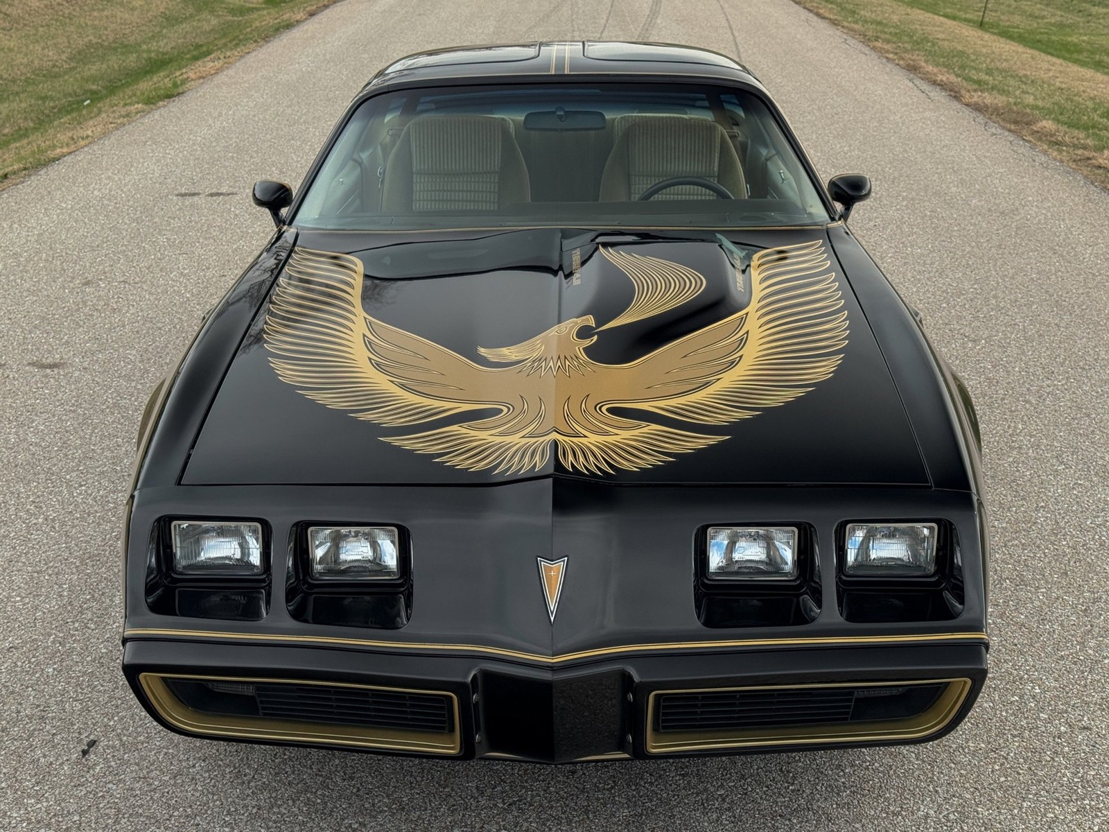 Pontiac-Trans-Am-1981-Coupe-8
