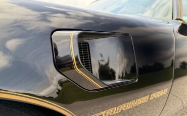Pontiac-Trans-Am-1981-Coupe-9