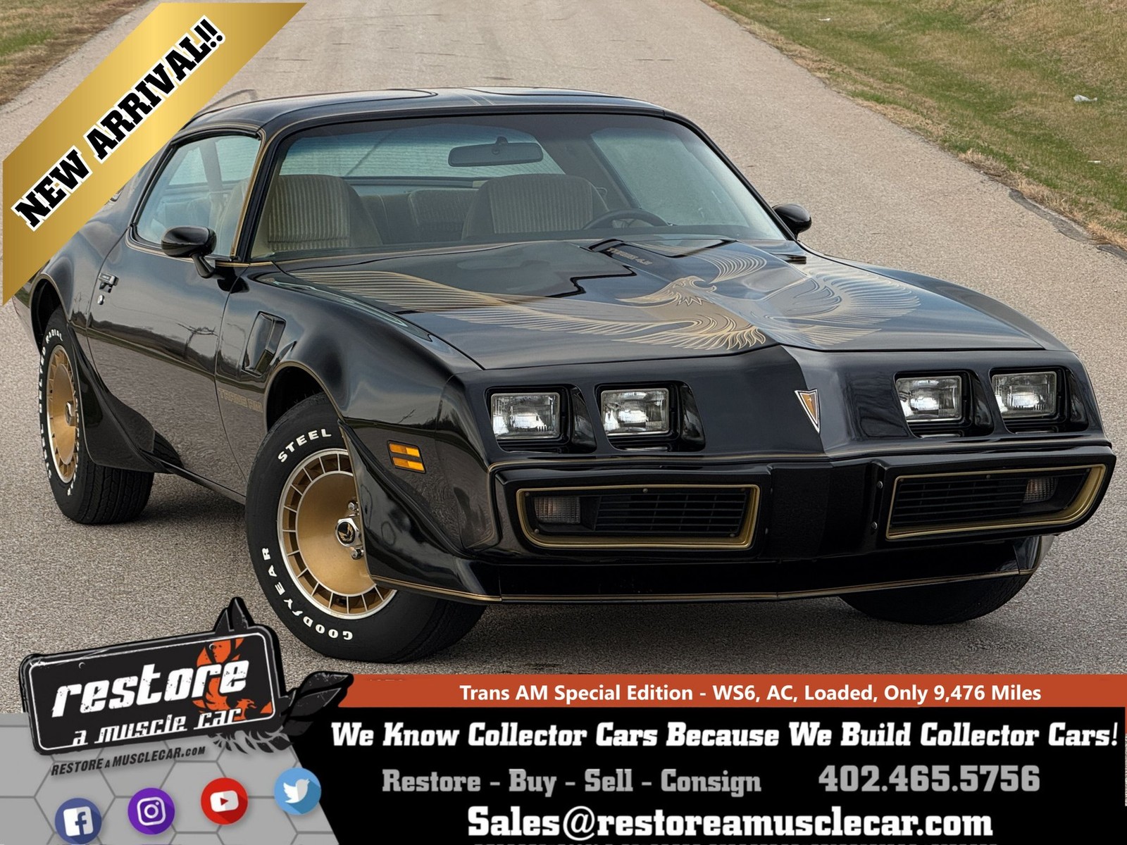 Pontiac Trans Am 1981 Coupe