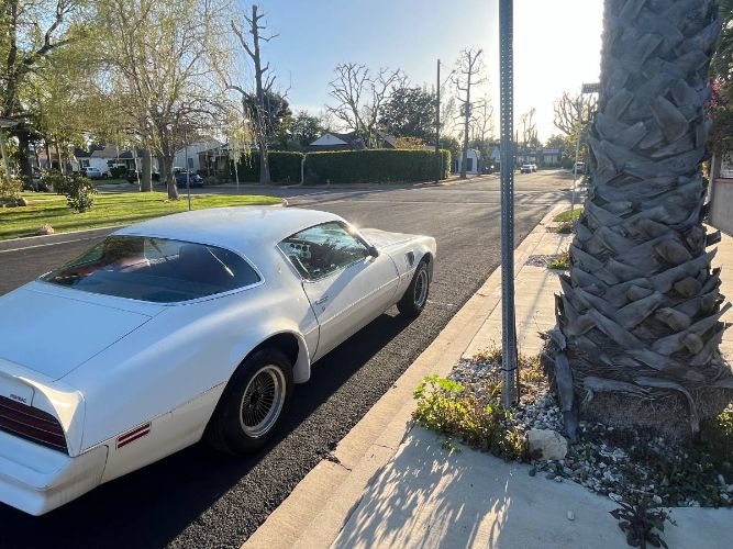 Pontiac-Trans-am-1977-21
