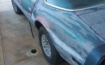 Pontiac-Trans-am-1978-3