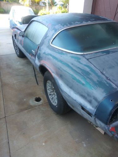 Pontiac-Trans-am-1978-3