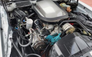 Pontiac-Trans-am-1978-41